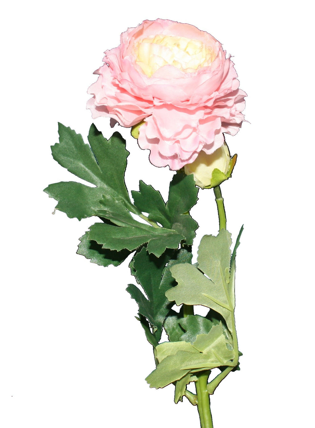 Longstem Pink Peony
