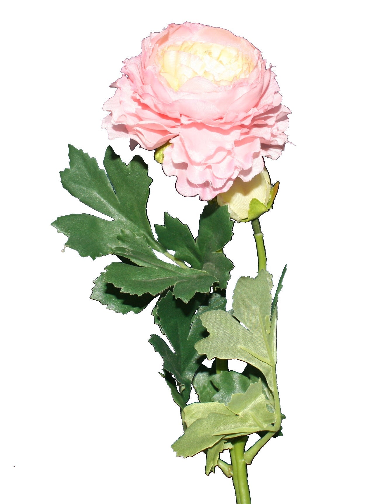 Longstem Pink Peony