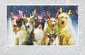 Reindeer Games Boxed Christmas Cards