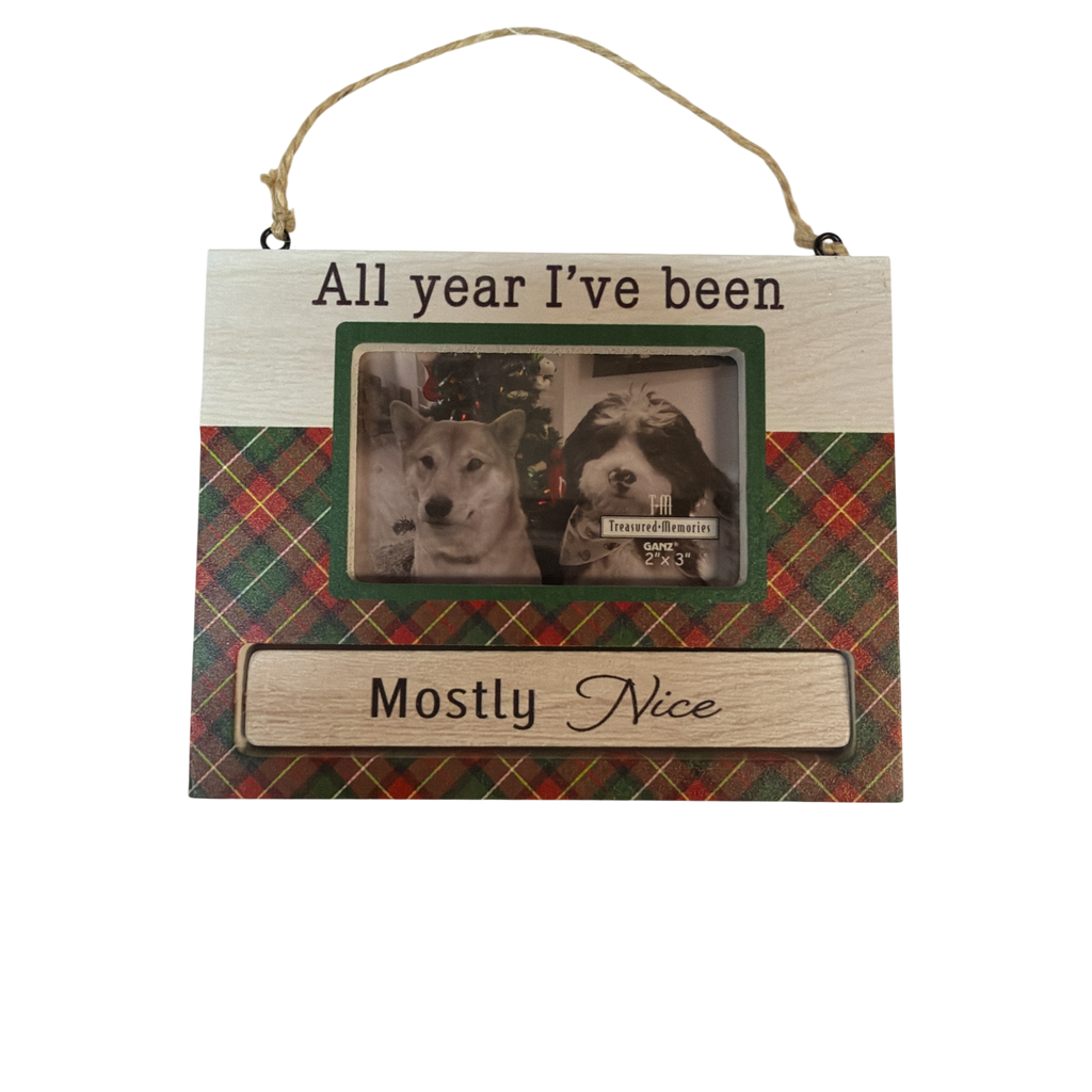 Pet Photo Frame Ornament - All year I've been Mostly Nice