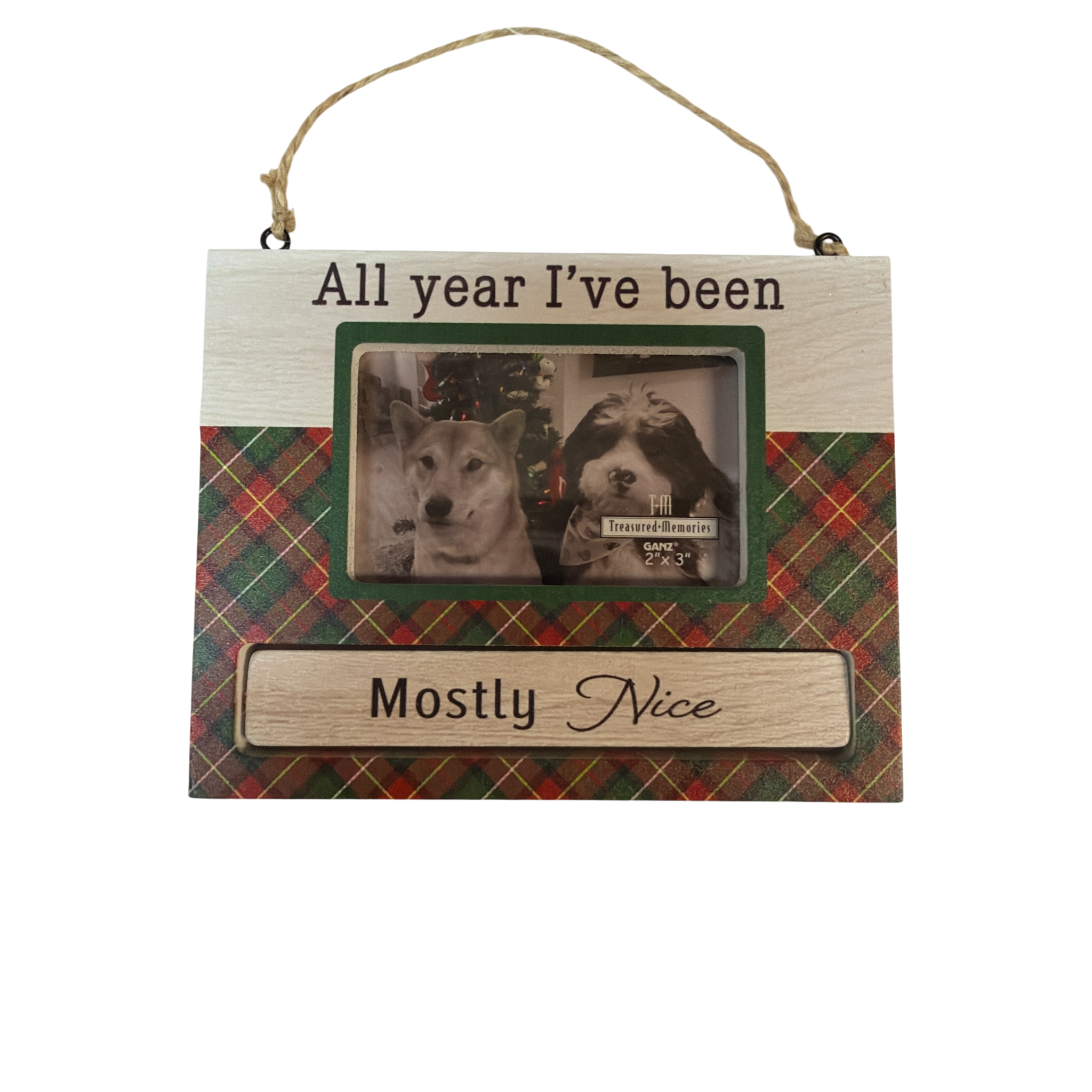 Pet Photo Frame Ornament - All year I've been Mostly Nice