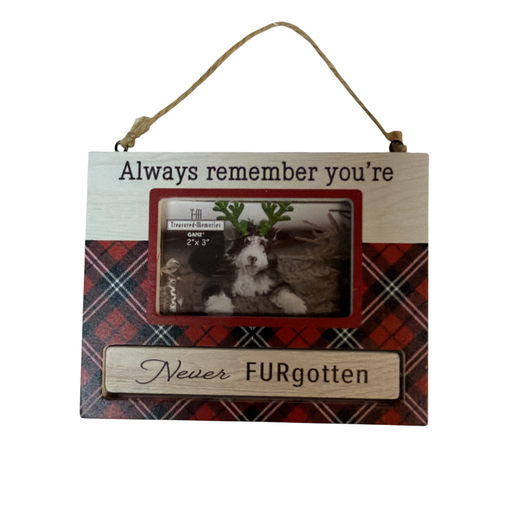 Pet Photo Frame Ornament - Always Remember