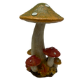 Hint of Green Harvest Mushrooms