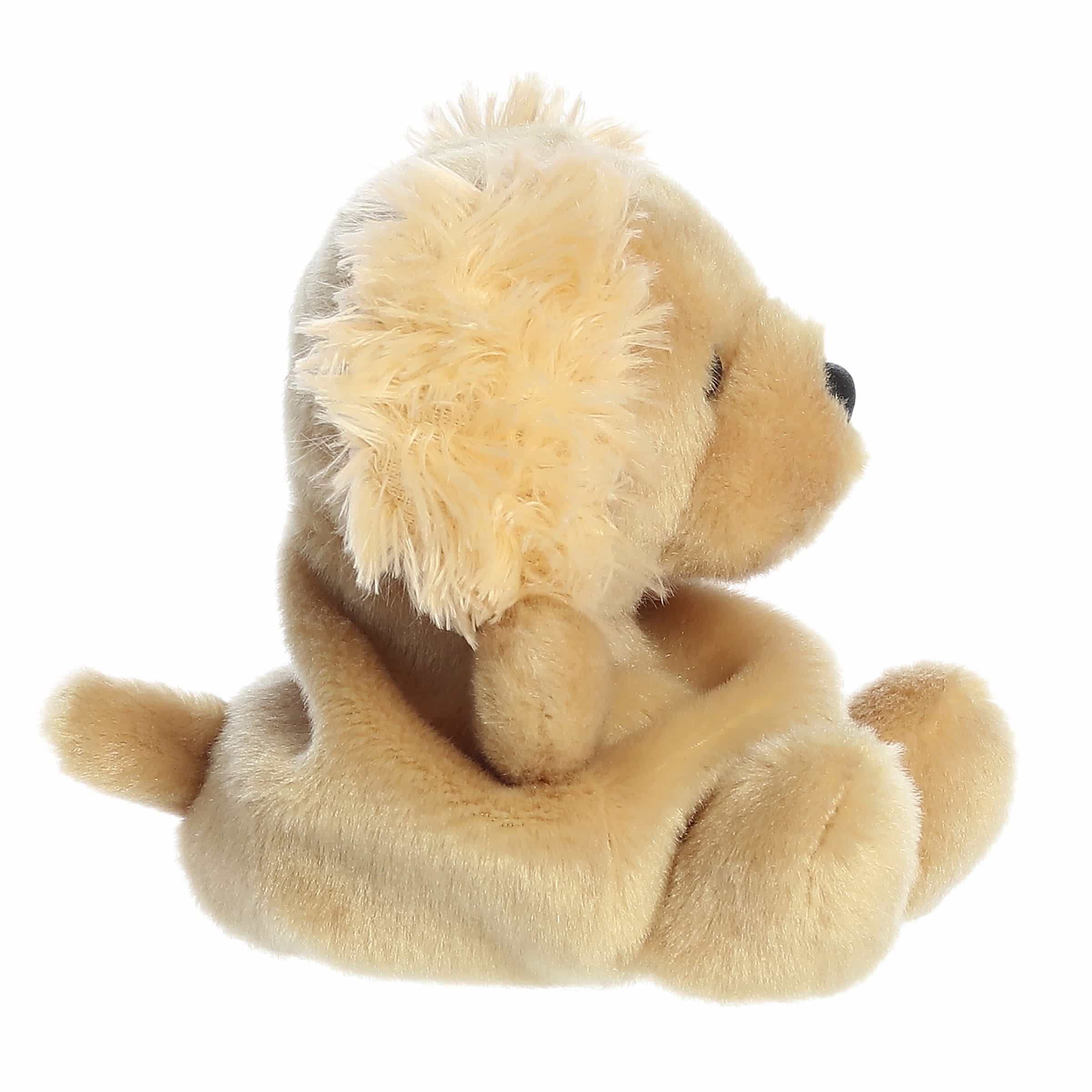 Oatmeal Goldendoodle  Palm Pal