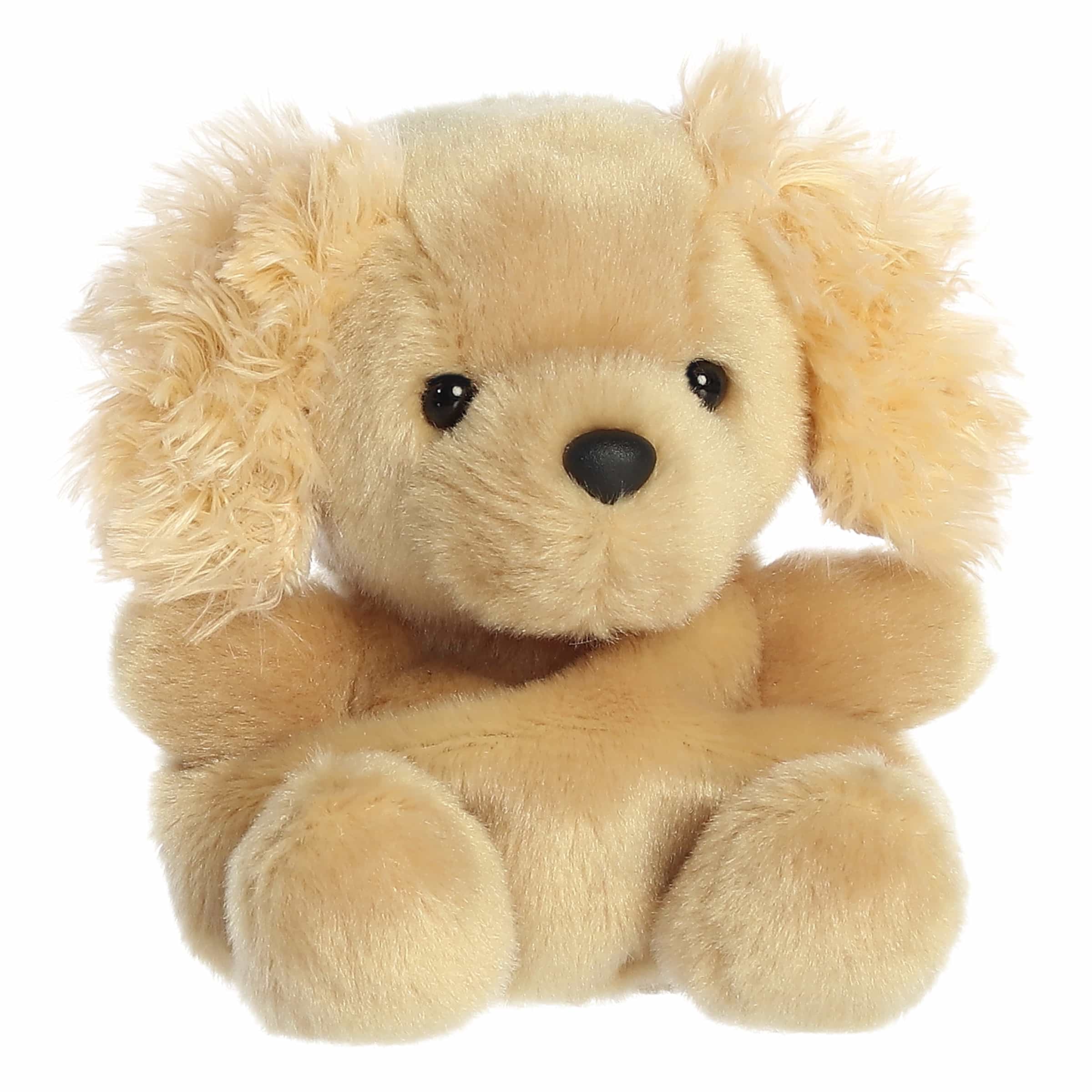 Oatmeal Goldendoodle  Palm Pal