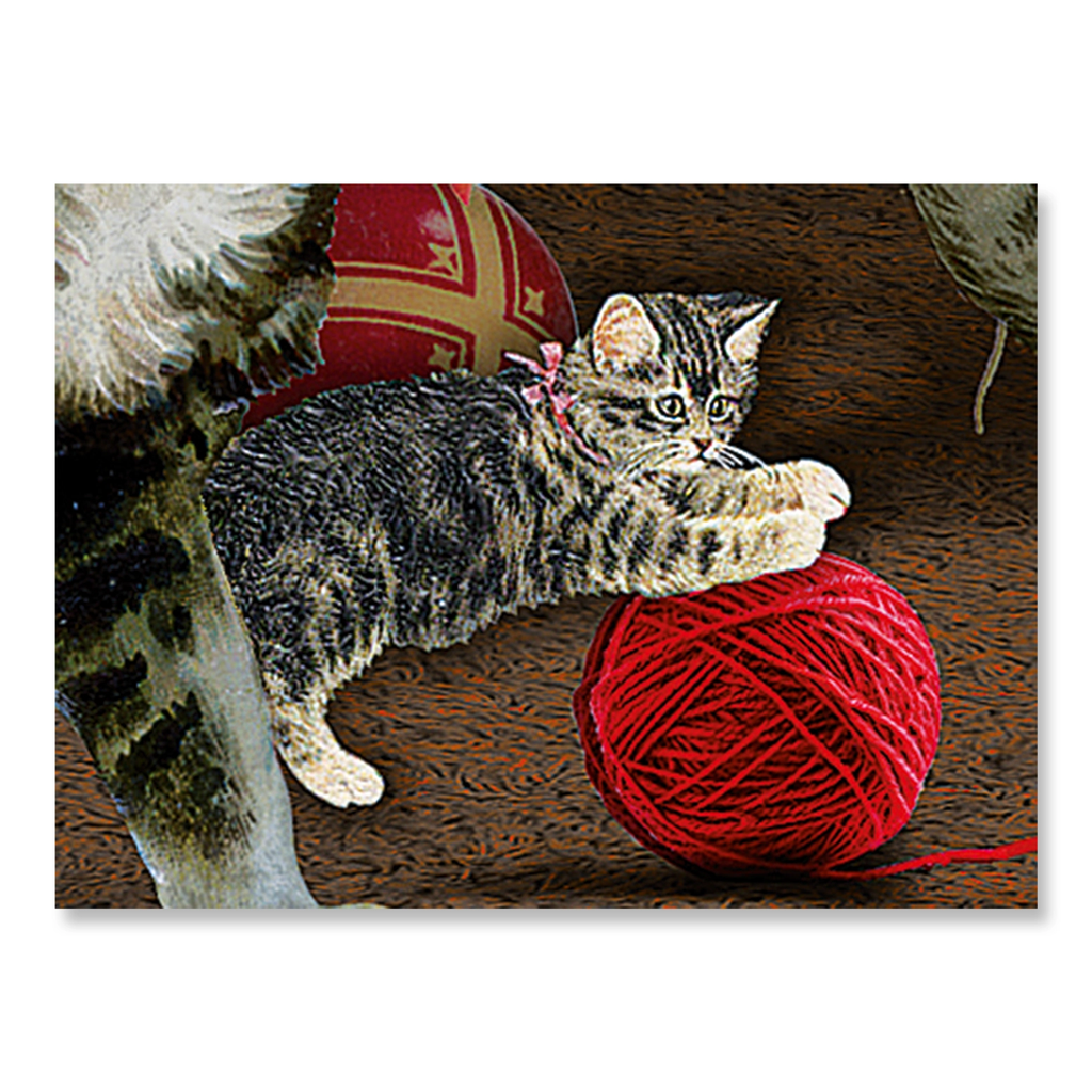 Cats at the Window Advent Calendar