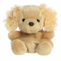Oatmeal Goldendoodle  Palm Pal