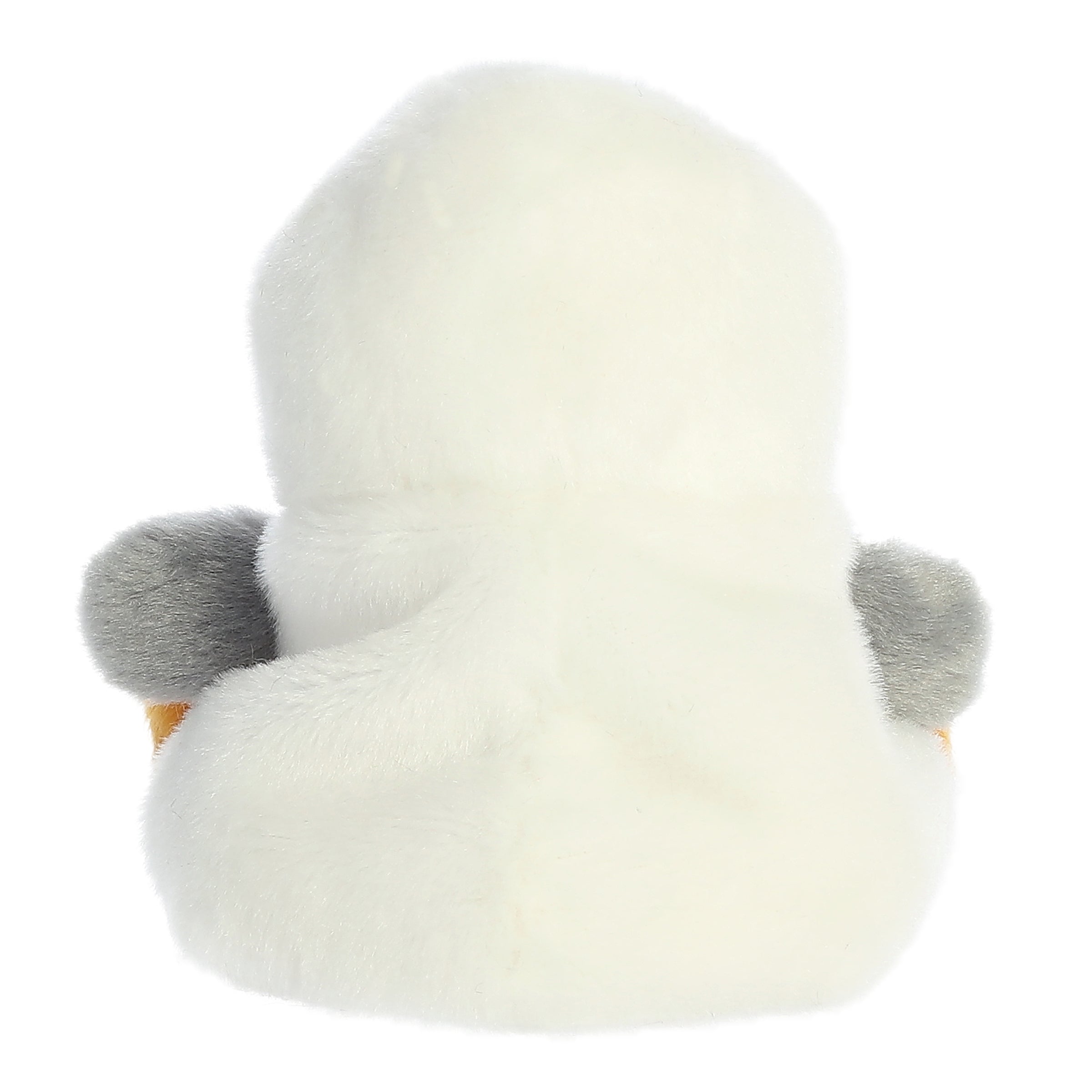 Bouy Seagull  Palm Pal
