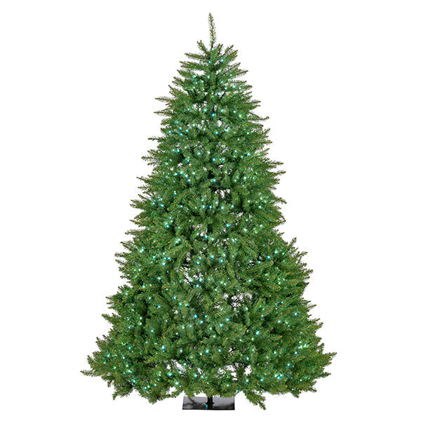 Appleton Pine - 7.5 foot - 760 LED Lights - Multi-Color
