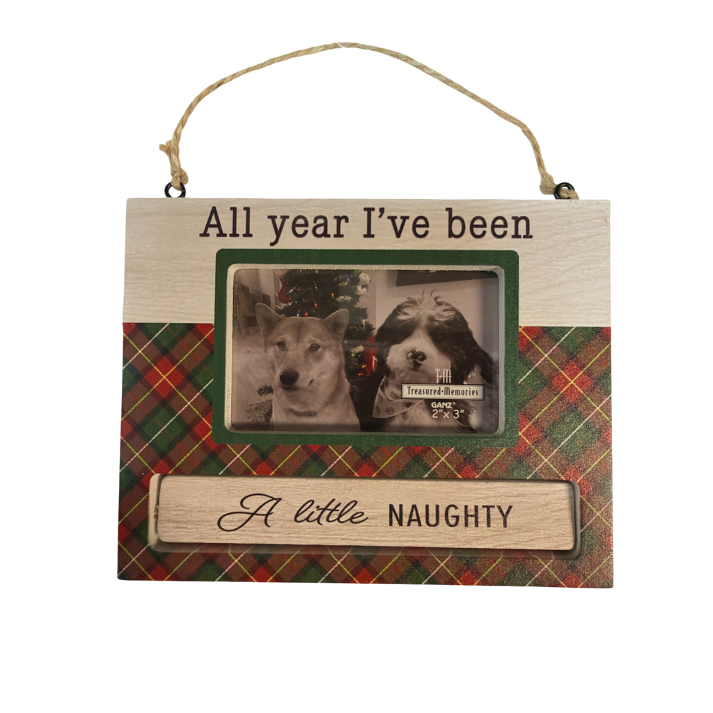 Pet Photo Frame Ornament - All year I've been Mostly Nice