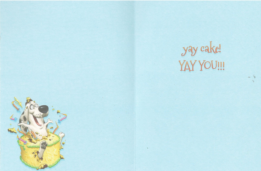 Notion - Yay Birthdays!