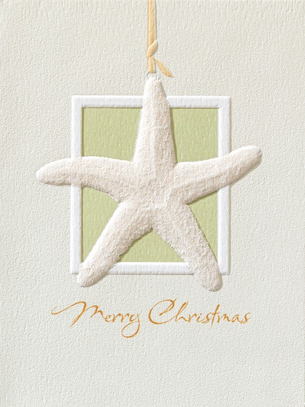 Sea Star Spirit Boxed Christmas Cards