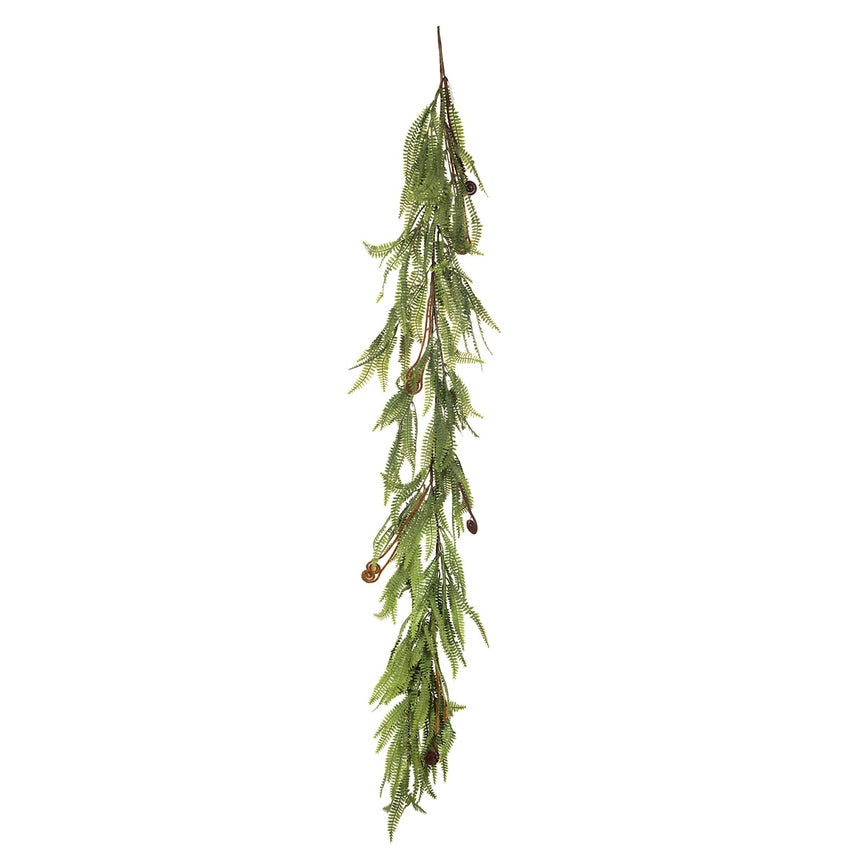 Fern Garland