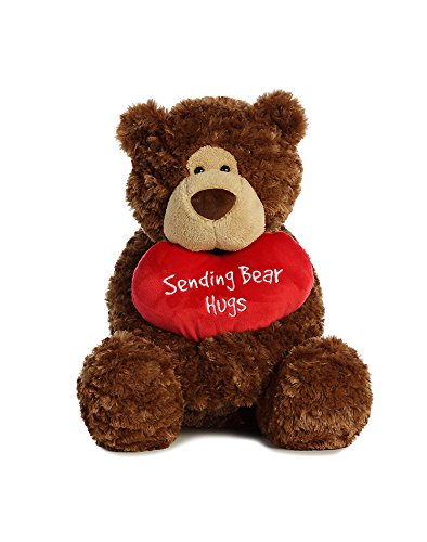 Sending You Hugs Bear - Large