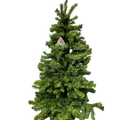 Vienna Woods Wall Tree - Green - 4'