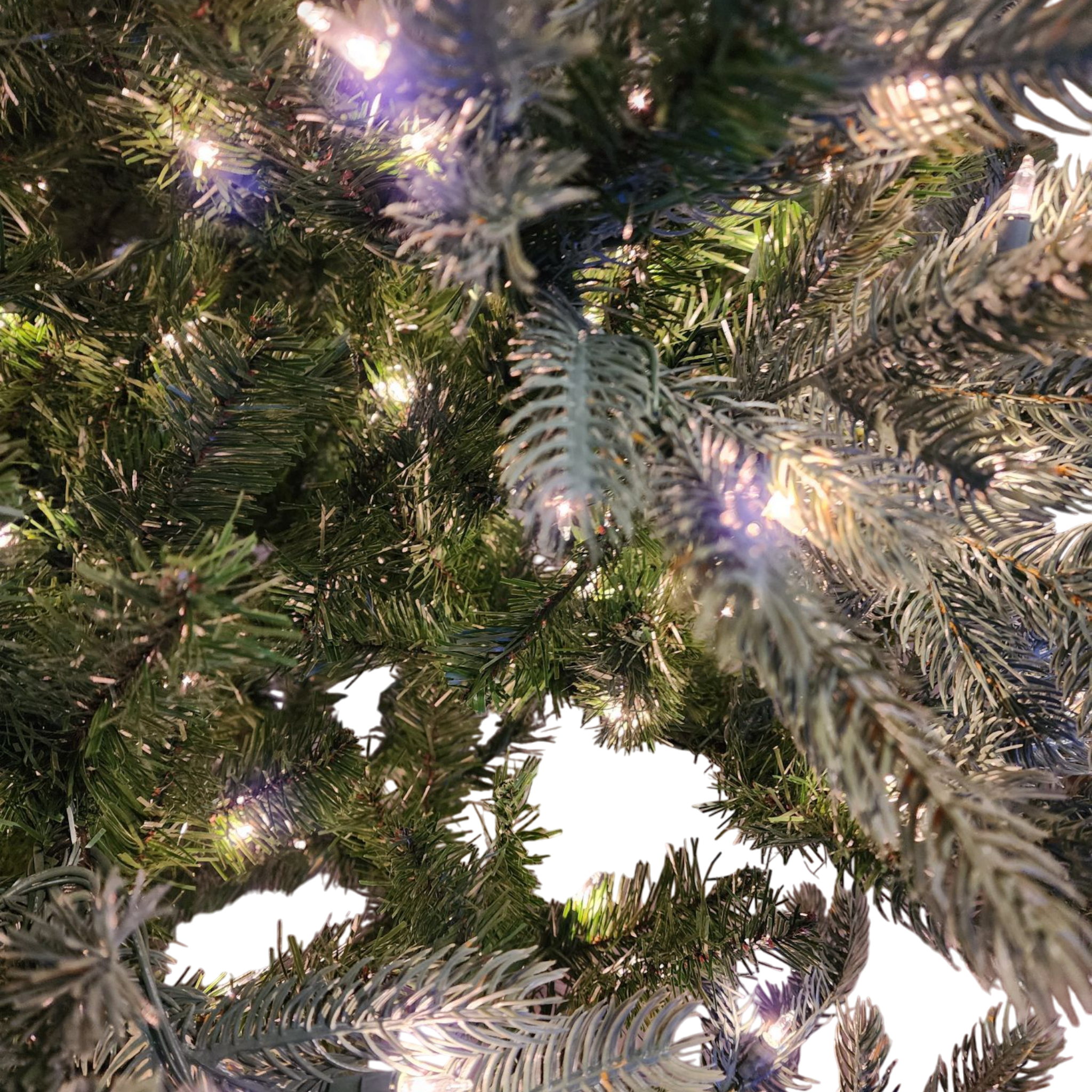 Lush Douglas Fir Tree - 9 Foot - 500 Clear Bulbs