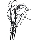 Black Glitter Branch
