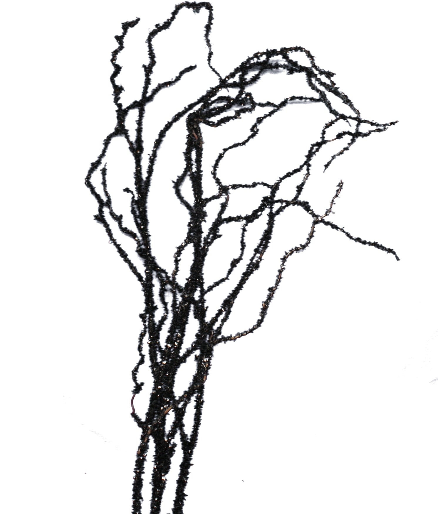Black Glitter Branch