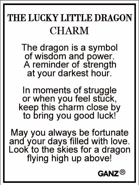 The Lucky Little Dragon Charm