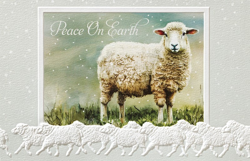 Leicester Longwool Christmas Boxed Cards