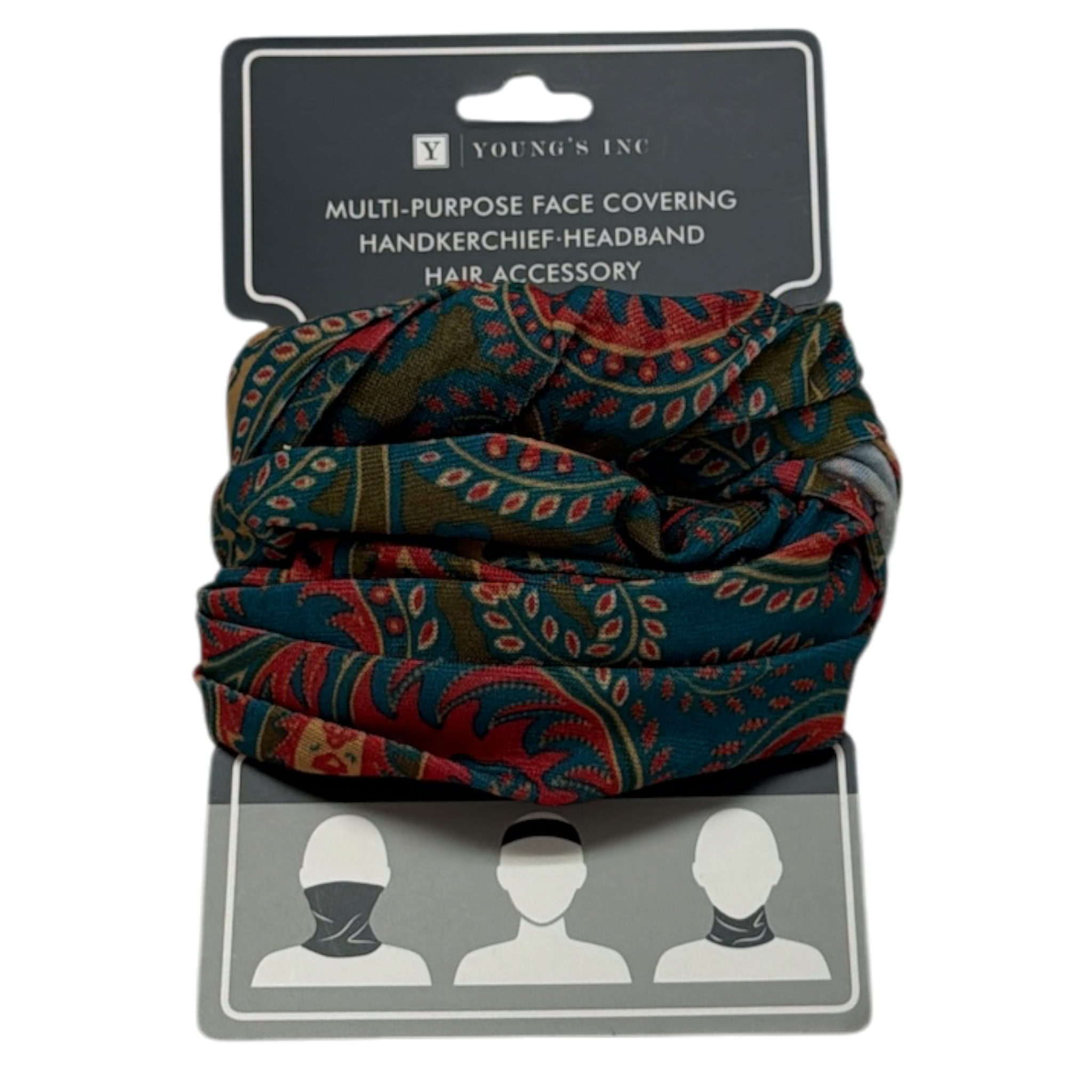 Headband/Scarf Multicolor Paisley