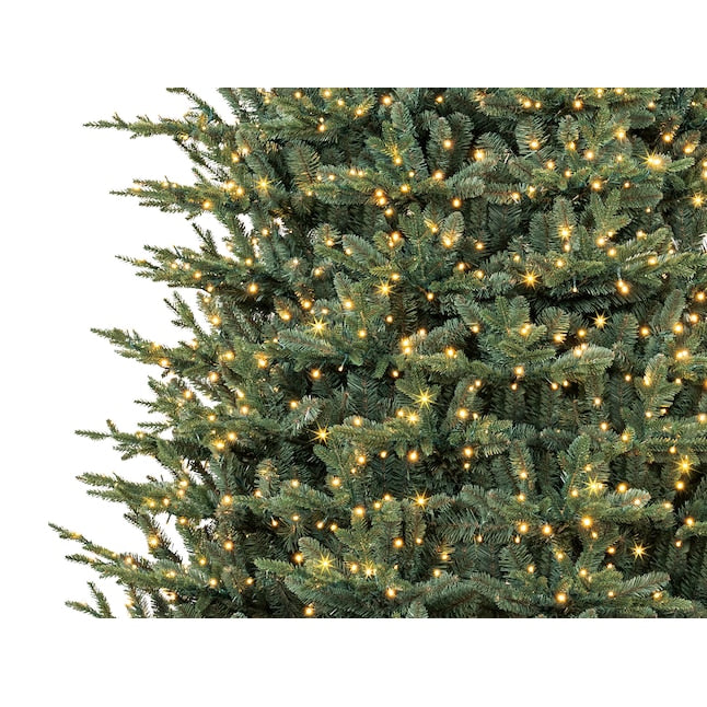 Montana Fir Tree with Twinking White LED Lights - 12 Foot