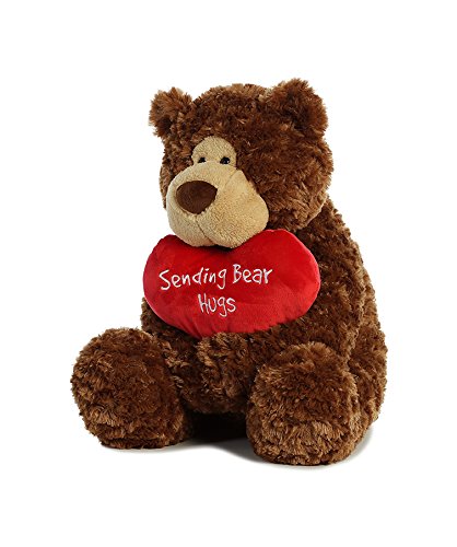 Sending You Hugs Bear - Large