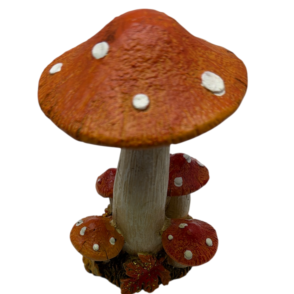 Cheerful Orange Harvest Mushrooms