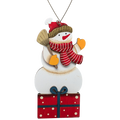 Woody's Gift-Box Celebration: Hand-Painted Plywood Ornament