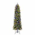 Hayden Pine Slim Christmas Tree with Twinkling Multicolor LED Lights - 7 Foot