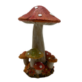 Dark Orange Harvest Mushrooms