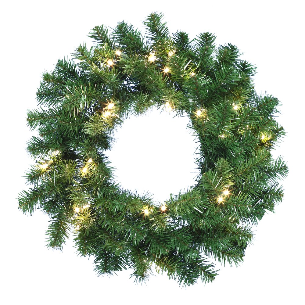 24 Inch Douglas Fir Wreath with 30 Clear Lights