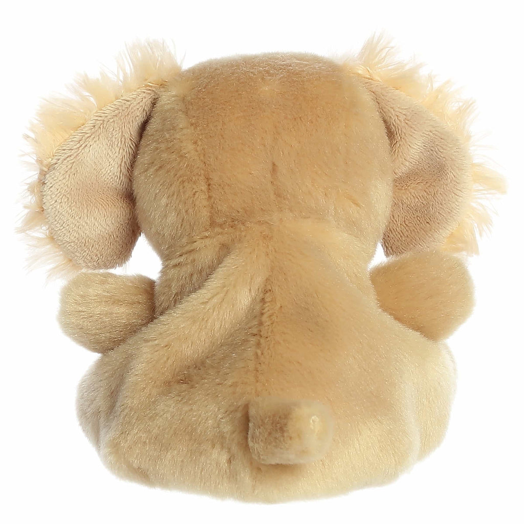 Oatmeal Goldendoodle  Palm Pal