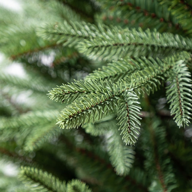Windsor Artificial Christmas Tree - 7.5 Foot