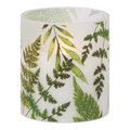 Frosted Illumaflame Fern LED Glass Candle - 4 Inch