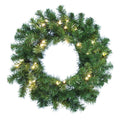24 Inch Douglas Fir Wreath with 30 Clear Lights