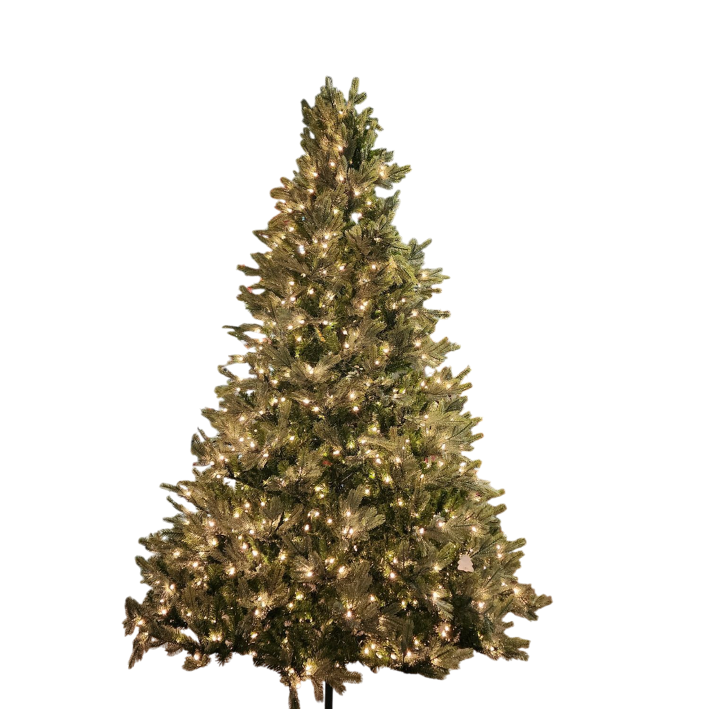 Lush Douglas Fir Tree - 9 Foot - 500 Clear Bulbs