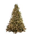 Lush Douglas Fir Tree - 9 Foot - 500 Clear Bulbs