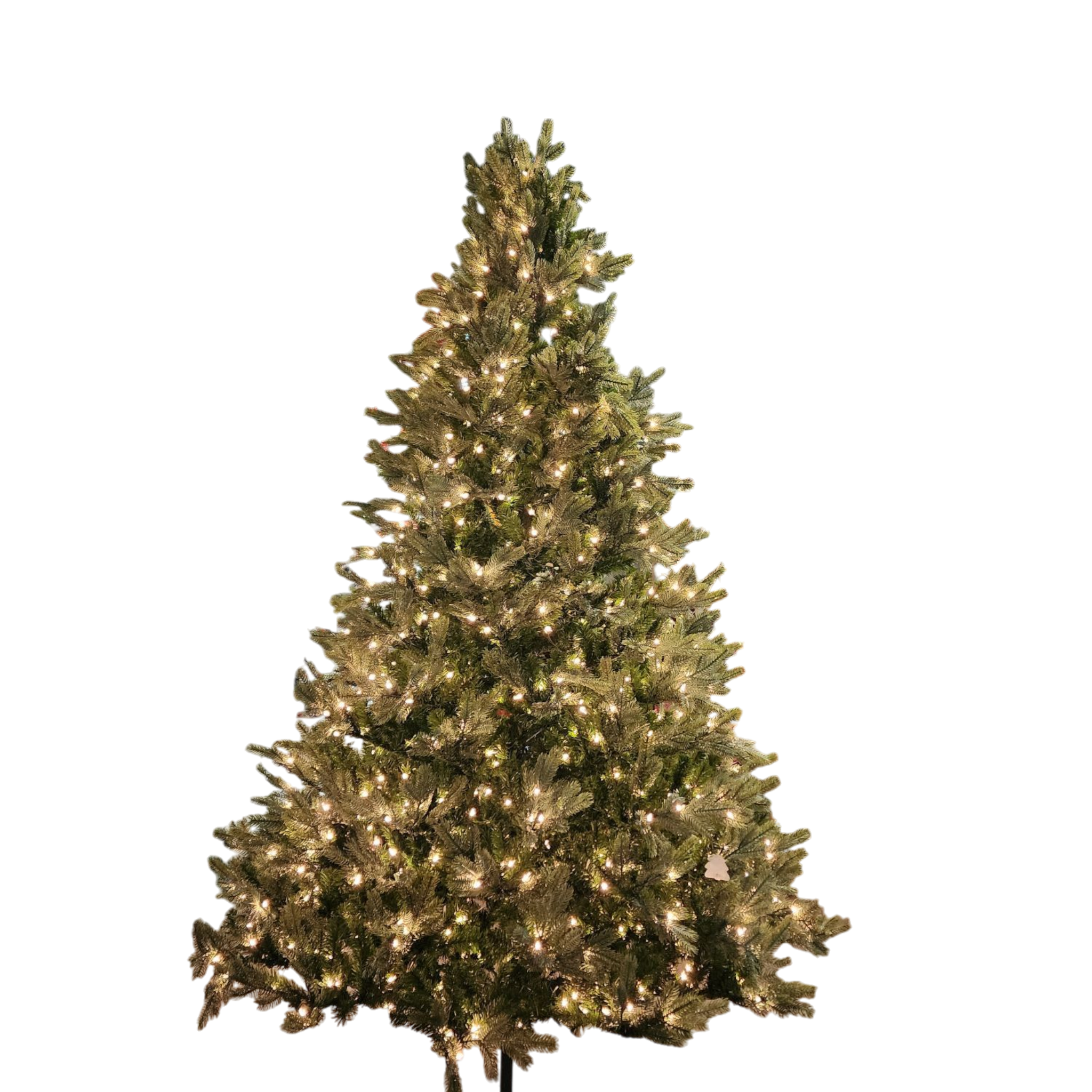 Lush Douglas Fir Tree - 9 Foot - 500 Clear Bulbs