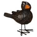 Raven's Whimsical Perch -