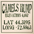 Local Towns Ceramic Coaster - Camels Hump