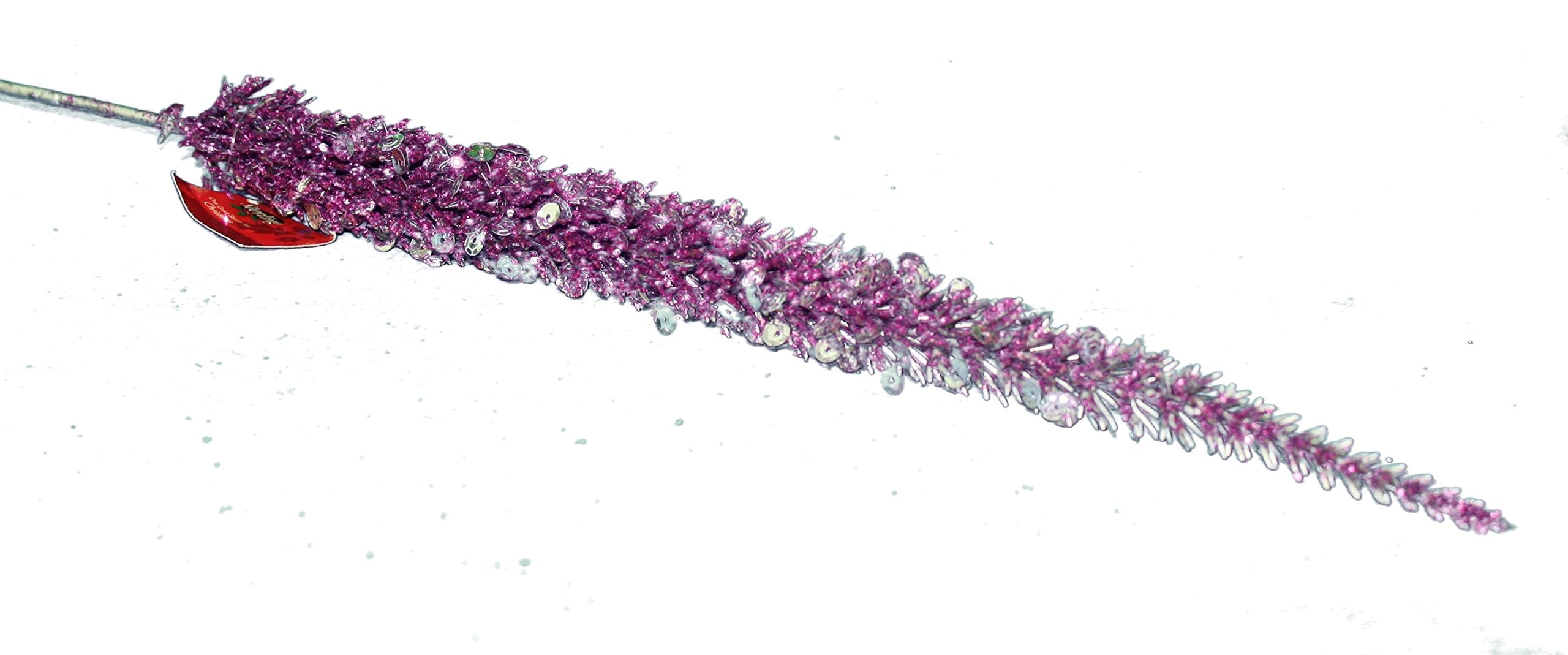 Plastic Purple Bristle
